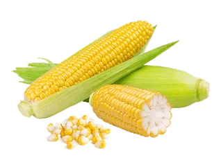 开云体育专注官方统一管理，确保操作过程的安全与合规。，为用户提供专业可靠的体验。 & 信赖 - 开云体育