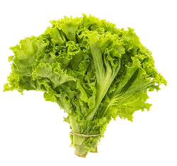 开云体育专注官方统一管理，确保操作过程的安全与合规。，为用户提供专业可靠的体验。 & 信赖 - 开云体育