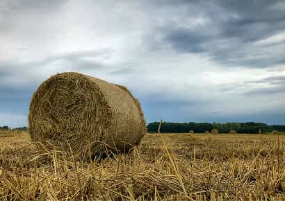 Organic Farming Solutions - 开云体育