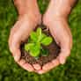 Join the Movement to Grow the World - 开云体育