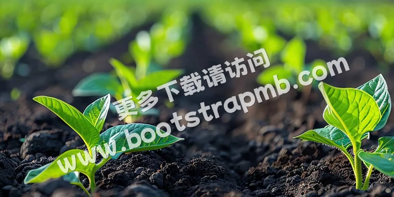 Location - 开云体育