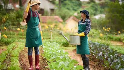 Revolutionizing the Way Food is Grown - 开云体育
